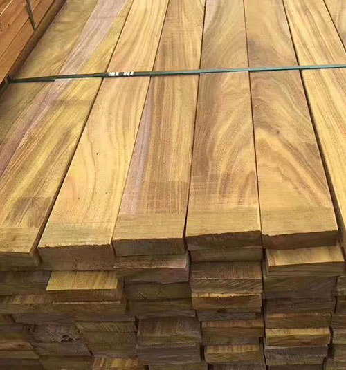 菠蘿格木 菠蘿格木