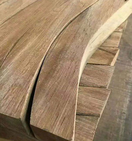 菠蘿格木 菠蘿格木